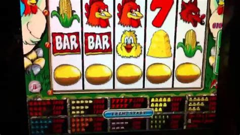 slot machine bar galline